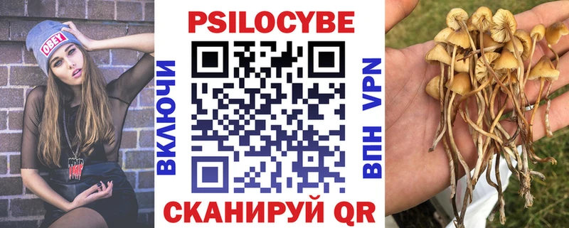 Псилоцибиновые грибы MAGIC MUSHROOMS  где купить наркоту  Суворов 