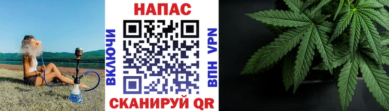 Каннабис план  Суворов 